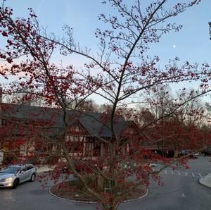 Meet your Posher, Ling